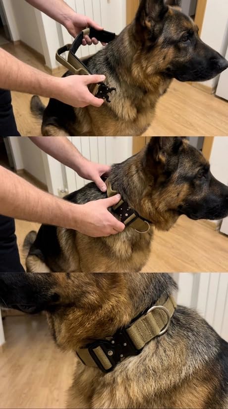 Tactical Dog Collar – Heavy Duty Adjustable Military Collar for Medium & Large Dogs