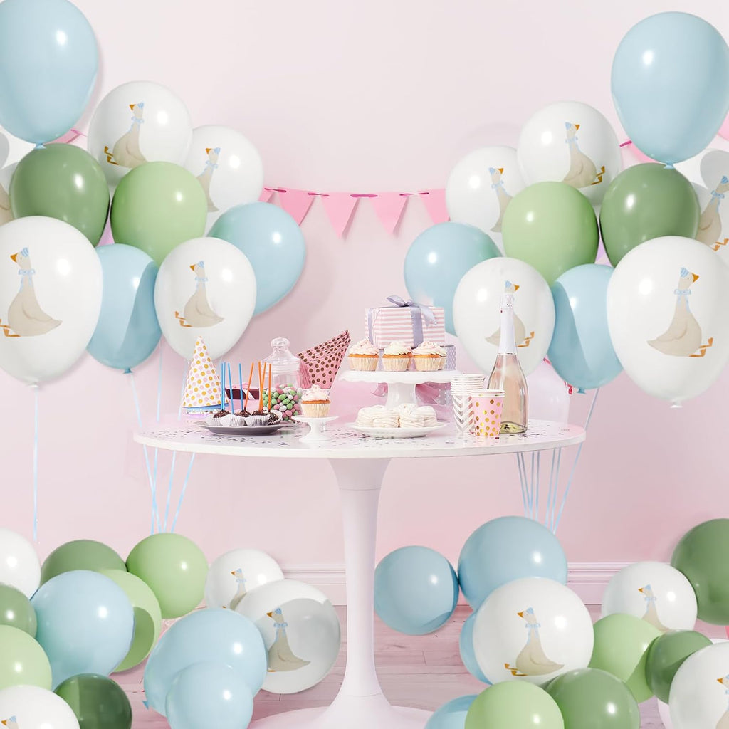 60 Pcs Goose Balloon Set – Pastel Pink Birthday Party Decorations