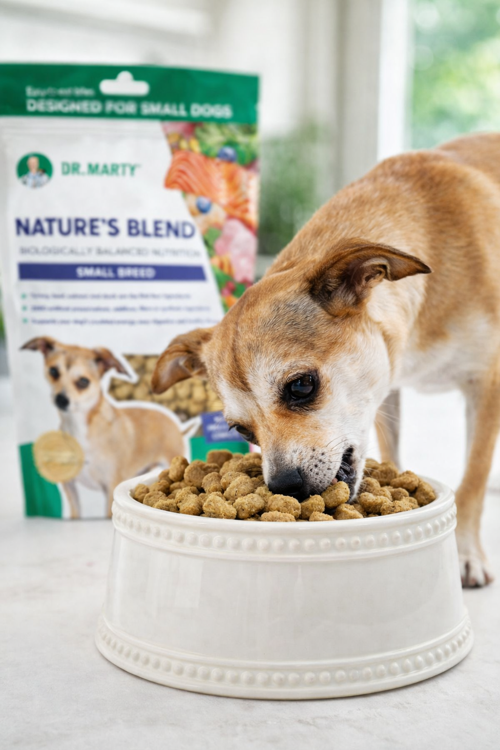 Dr. Marty Nature’s Blend Freeze-Dried Raw Dog Food for Small Breeds – 6 oz Premium High-Protein Formula