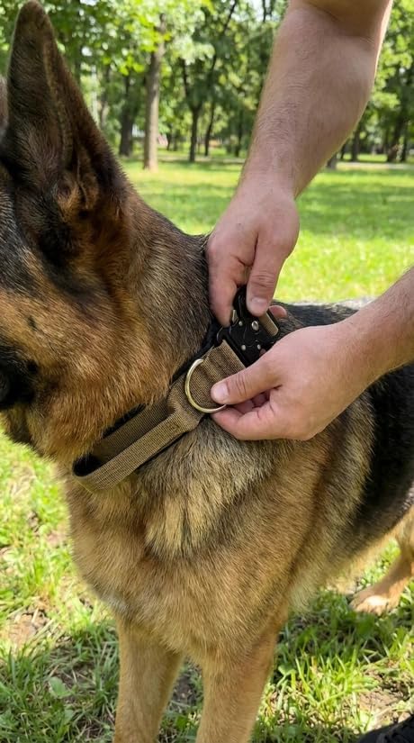 Tactical Dog Collar – Heavy Duty Adjustable Military Collar for Medium & Large Dogs