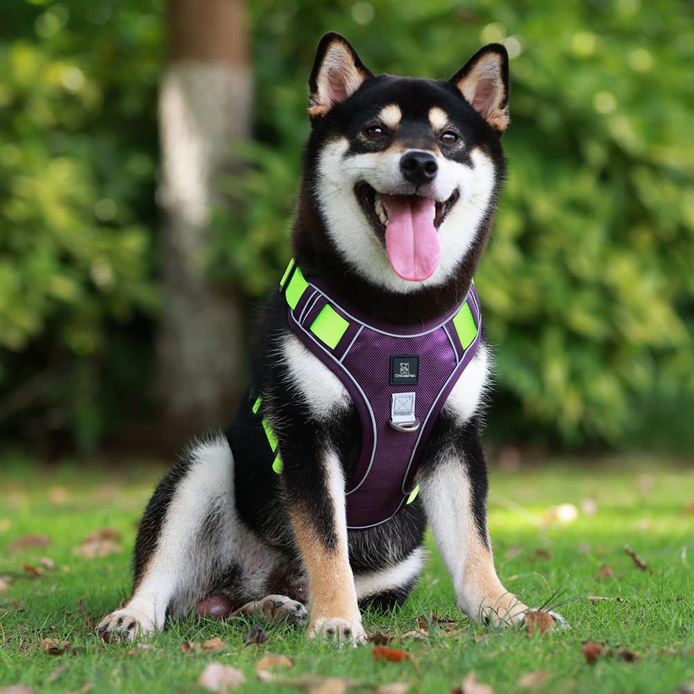 No-Pull Tactical Dog Harness – Adjustable Reflective Vest for Small & Medium Dogs