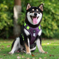 No-Pull Tactical Dog Harness – Adjustable Reflective Vest for Small & Medium Dogs