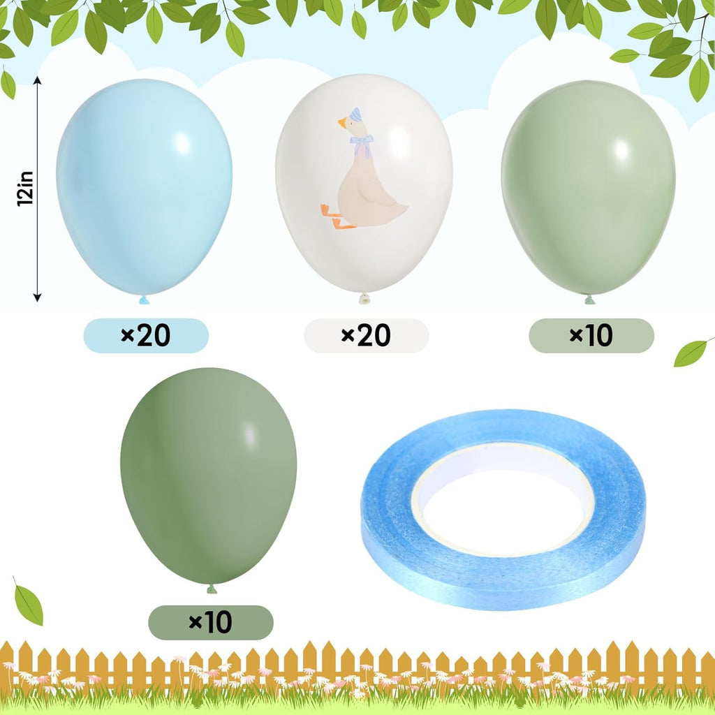 60 Pcs Goose Balloon Set – Pastel Pink Birthday Party Decorations