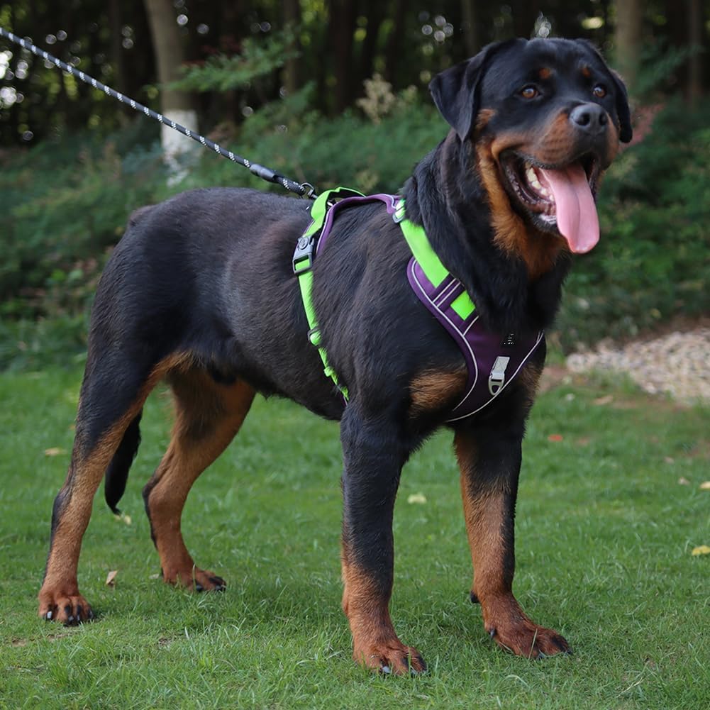 No-Pull Tactical Dog Harness – Adjustable Reflective Vest for Small & Medium Dogs