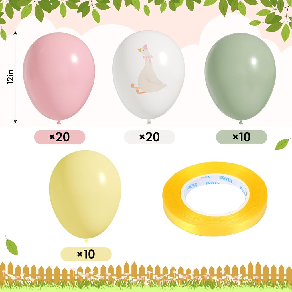 60 Pcs Goose Balloon Set – Pink Birthday & Baby Shower Decorations