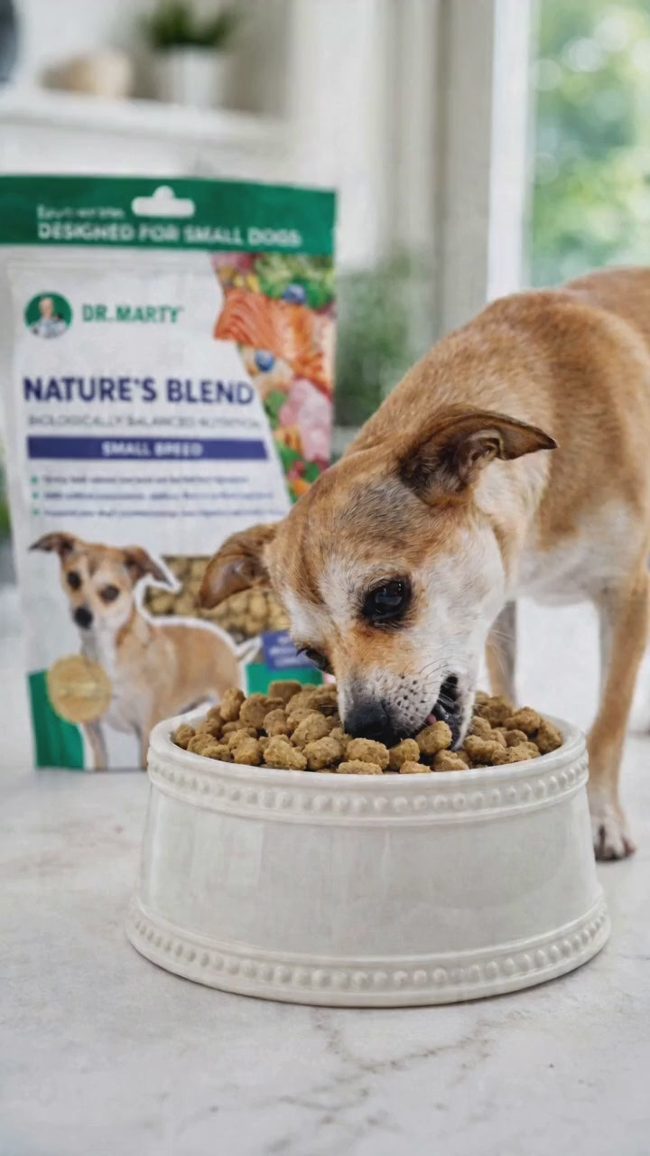 Dr. Marty Nature’s Blend Freeze-Dried Raw Dog Food for Small Breeds – 6 oz Premium High-Protein Formula